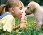 Kız ve köpek bir dondurma paylaşma